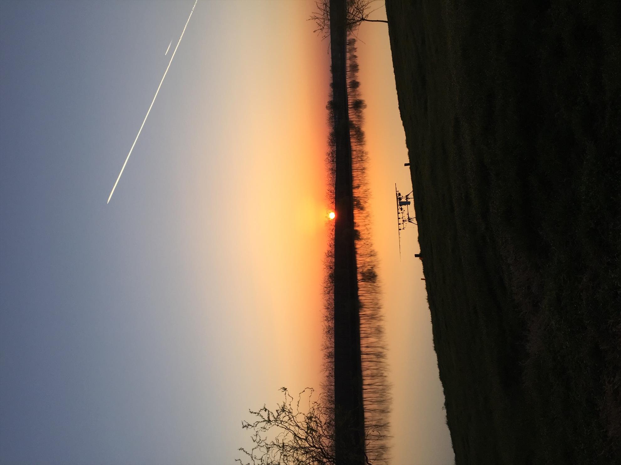 De pe balta adunate - image1111111.jpg